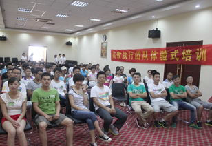 臨沂網站建設與全網優化 山東鼎基信息技術賦能企業數字化轉型